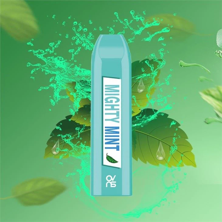 12 Flavors 500 Puff Bars Wholesale Disposable Mini Vape Pen With 350mAh Battery 12 Flavors 500 Puff Bars Wholesale Disposable Mini Vape Pen With 350mAh Battery