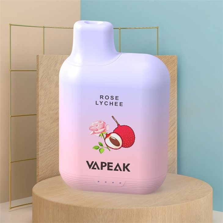 5000 Puffs Disposable Electronic Vape