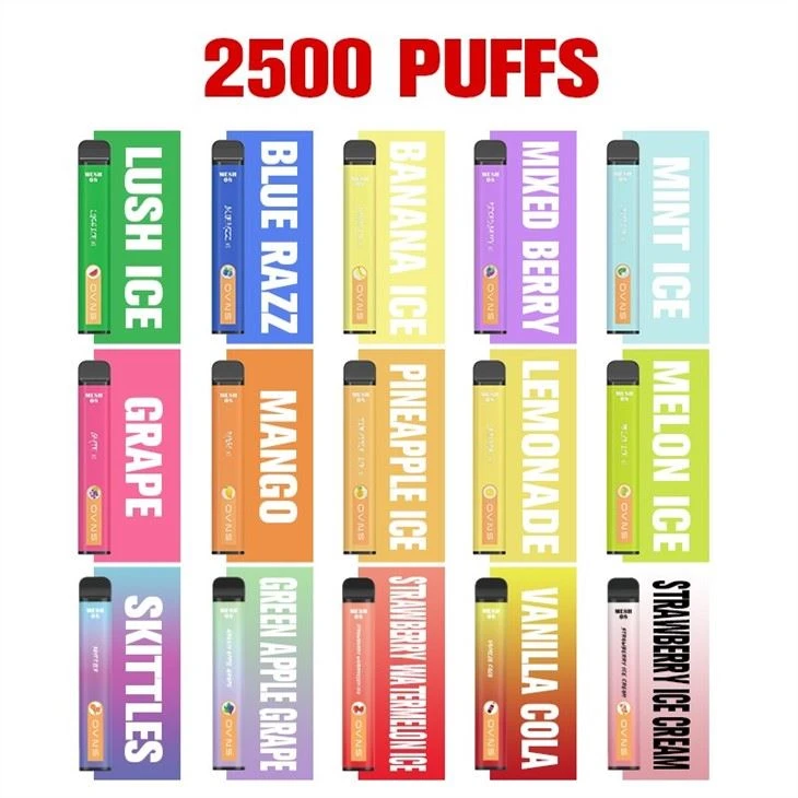 E Cigarette Vape Pen Disposable Vaporizer E Cigarette Vape Pen Disposable Vaporizer