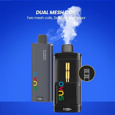 Одноразовый вейп с двойной сетчатой ​​катушкой на 6000 затяжек
